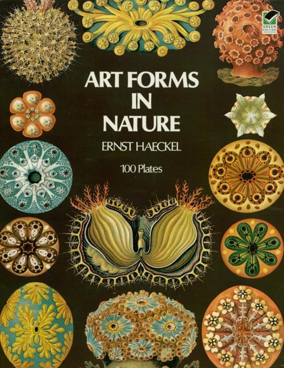 Art Forms In Nature Ernst Haeckel