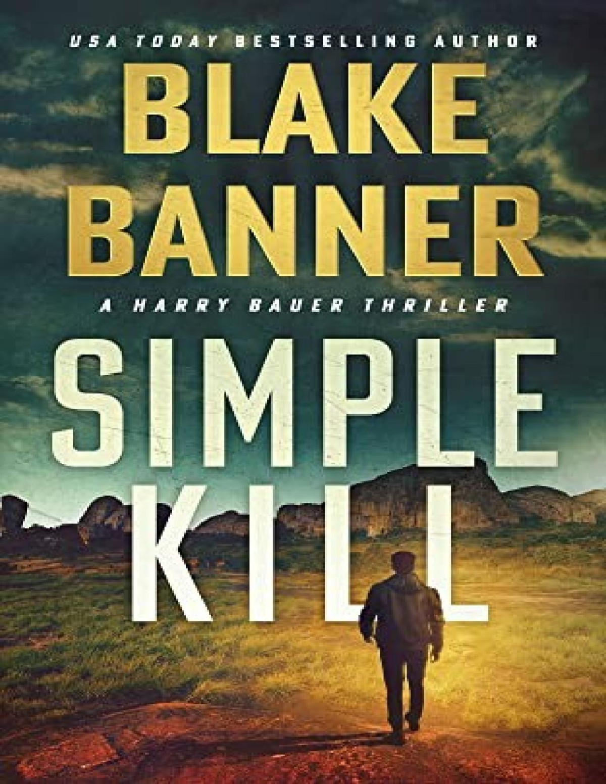 Harry Bauer Thriller 14 Simple Kill Blake Banner