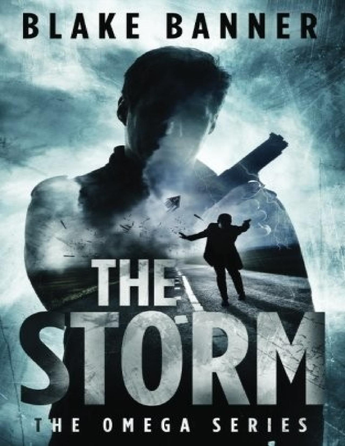 Omega 3 The Storm Blake Banner
