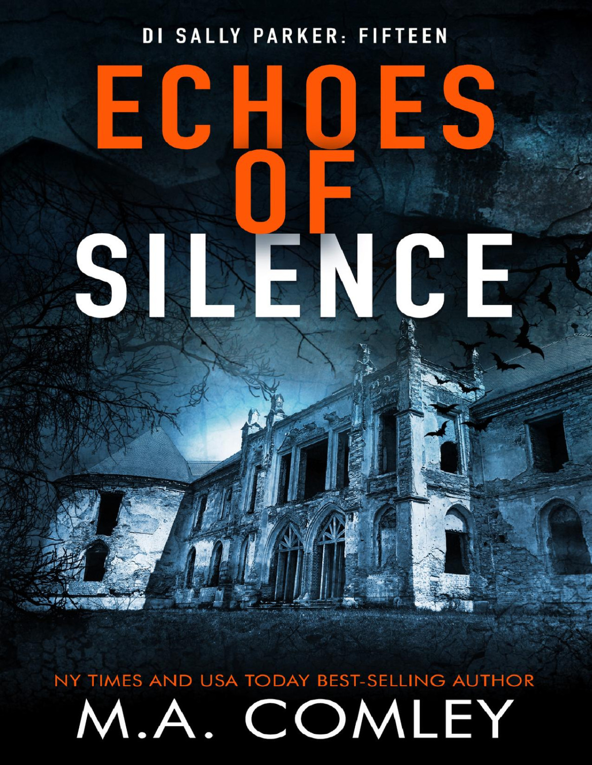 Echoes Of Silence M A Comley