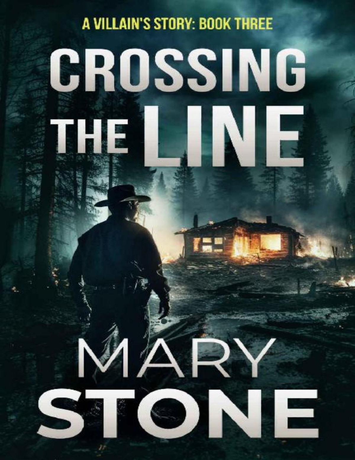 A Villains Story 03crossing The Line Mary Stone