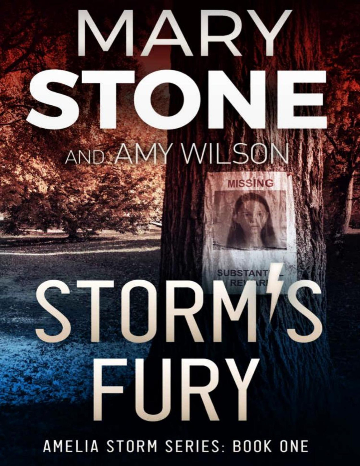 Amelia Storm Fbi Mystery 01 Storms Fury Mary Stone