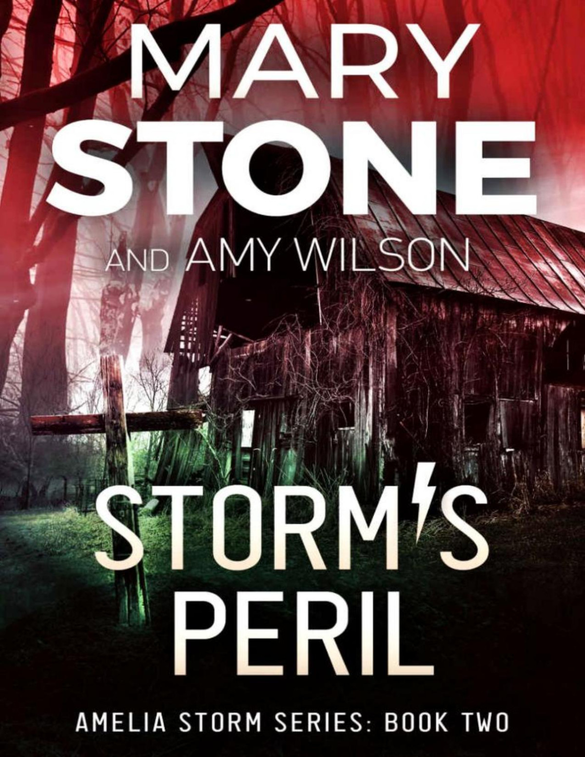 Amelia Storm Fbi Mystery 02 Storms Peril Mary Stone Amy Wilson