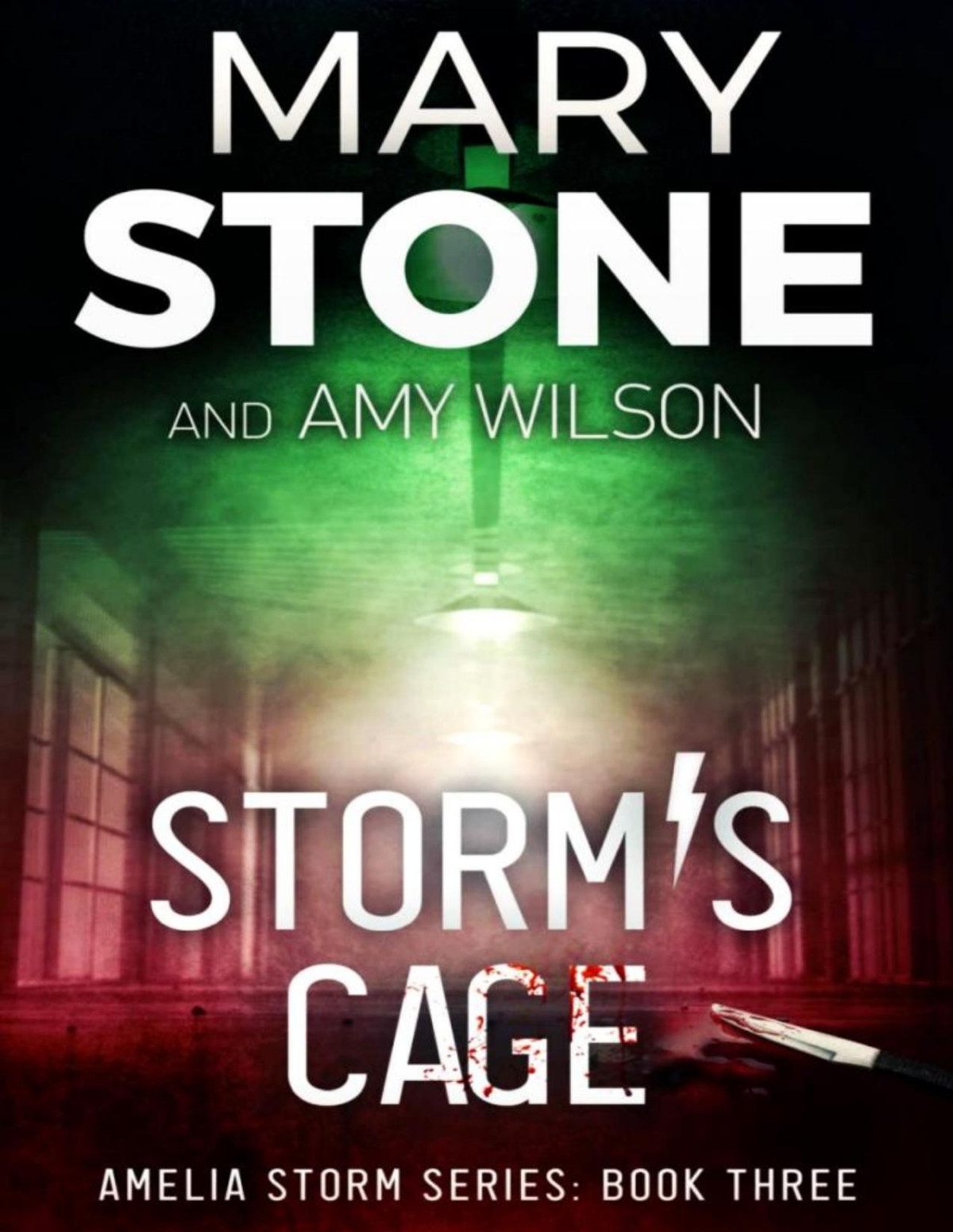 Amelia Storm Fbi Mystery 03 Storms Cage Mary Stone Amy Wilson
