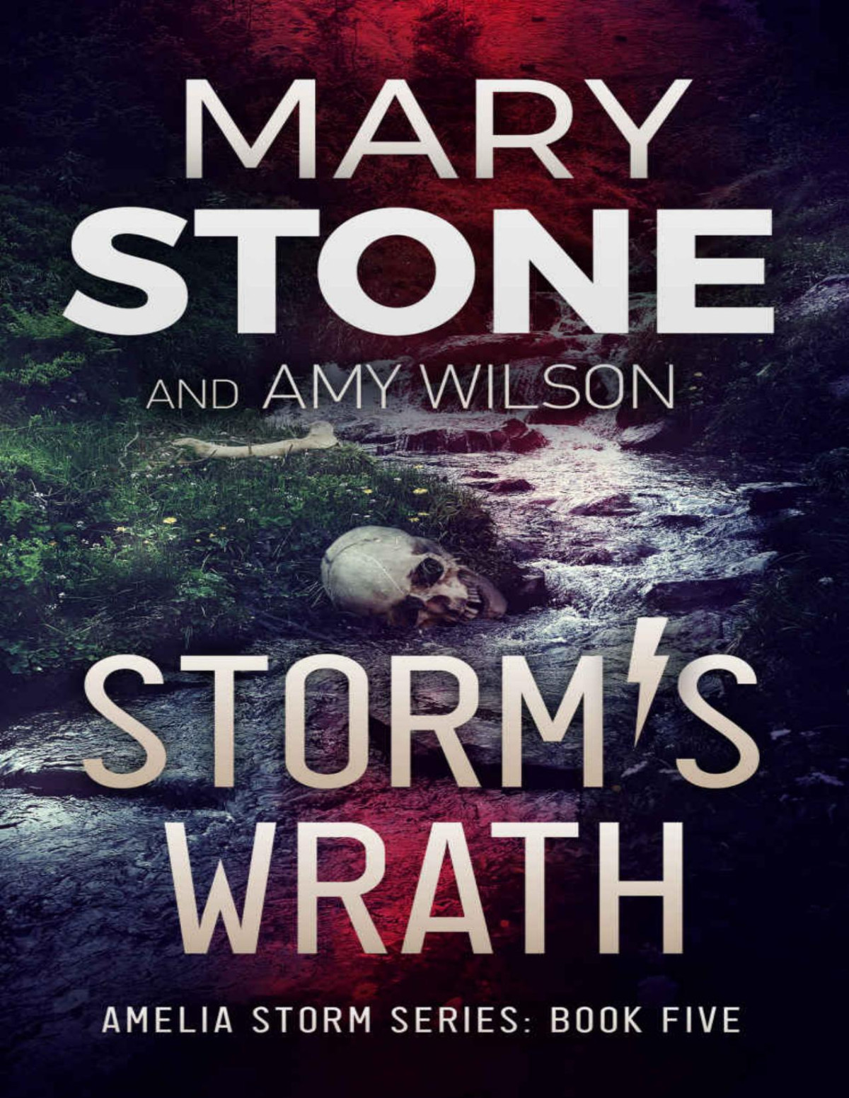 Amelia Storm Fbi Mystery 05 Storms Wrath Mary Stone Amy Wilson