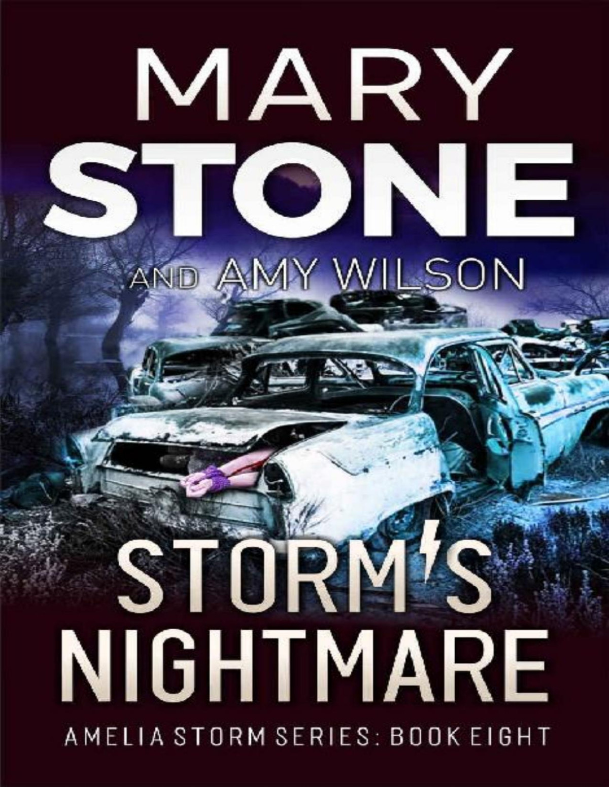 Amelia Storm Fbi Mystery 08 Storms Nightmare Mary Stone Amy Wilson