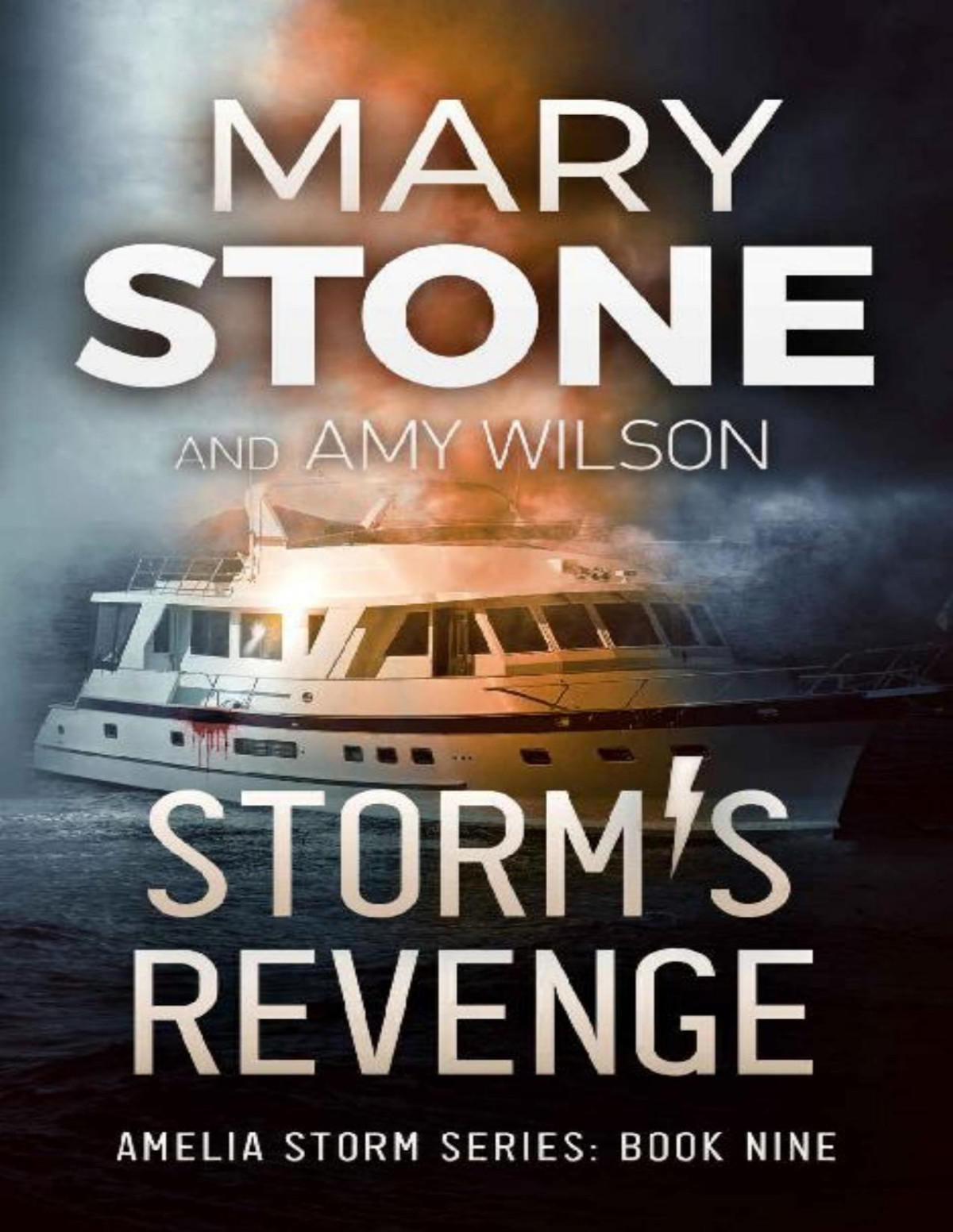 Amelia Storm Fbi Mystery 09 Storms Revenge Mary Stone