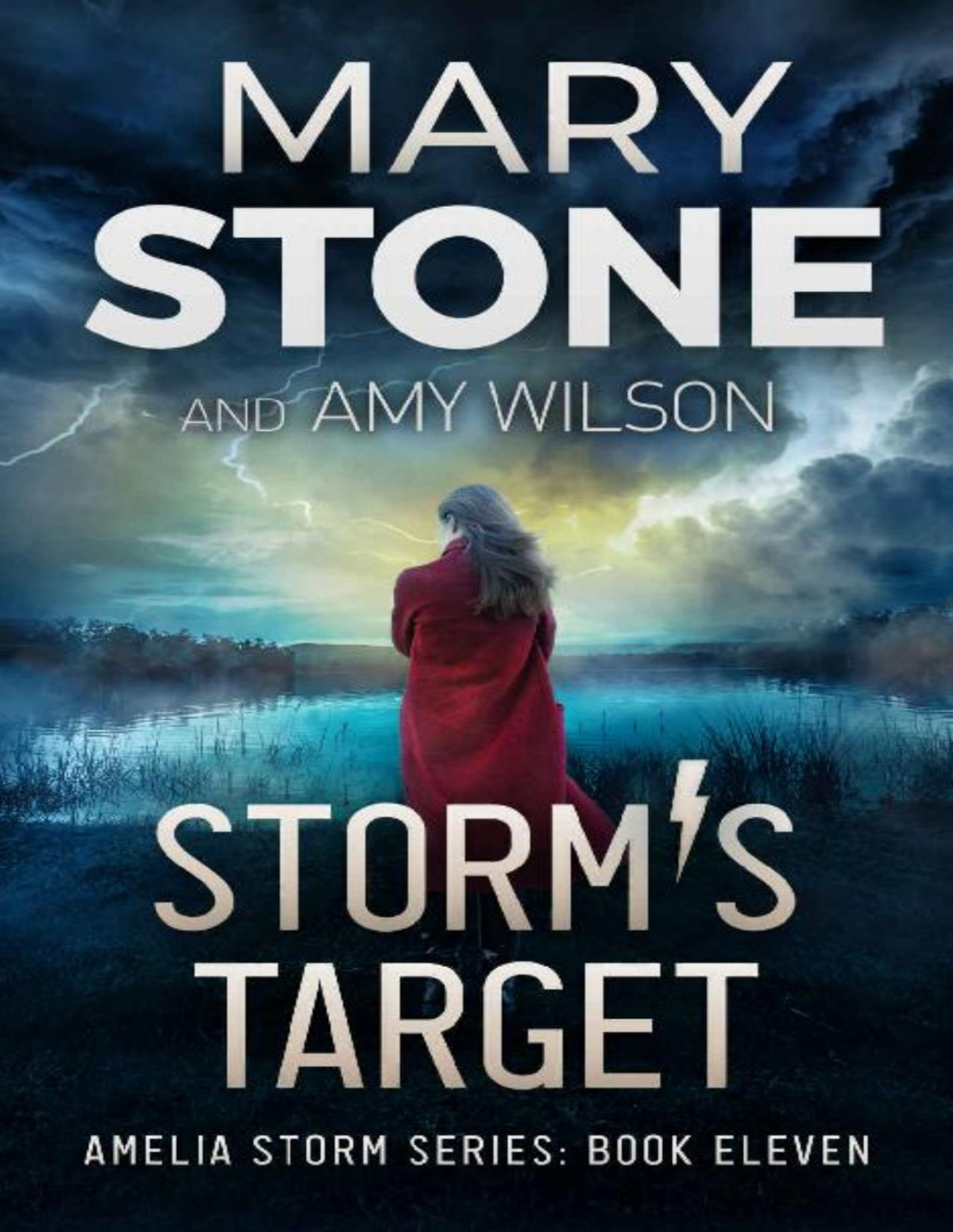Amelia Storm Fbi Mystery 11 Storms Target Mary Stone