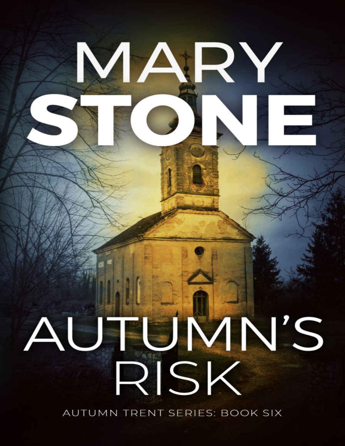 Autumn Trent 06 Autumns Risk Mary Stone