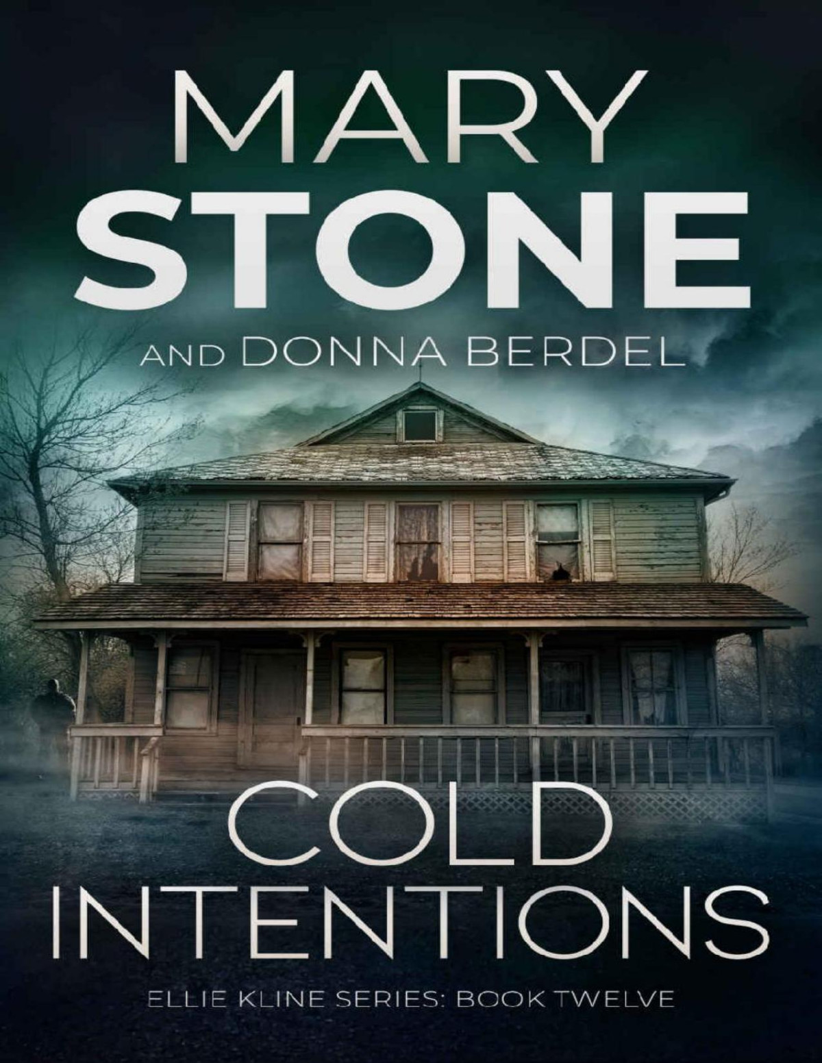 Ellie Kline 12 Cold Intentions Mary Stone