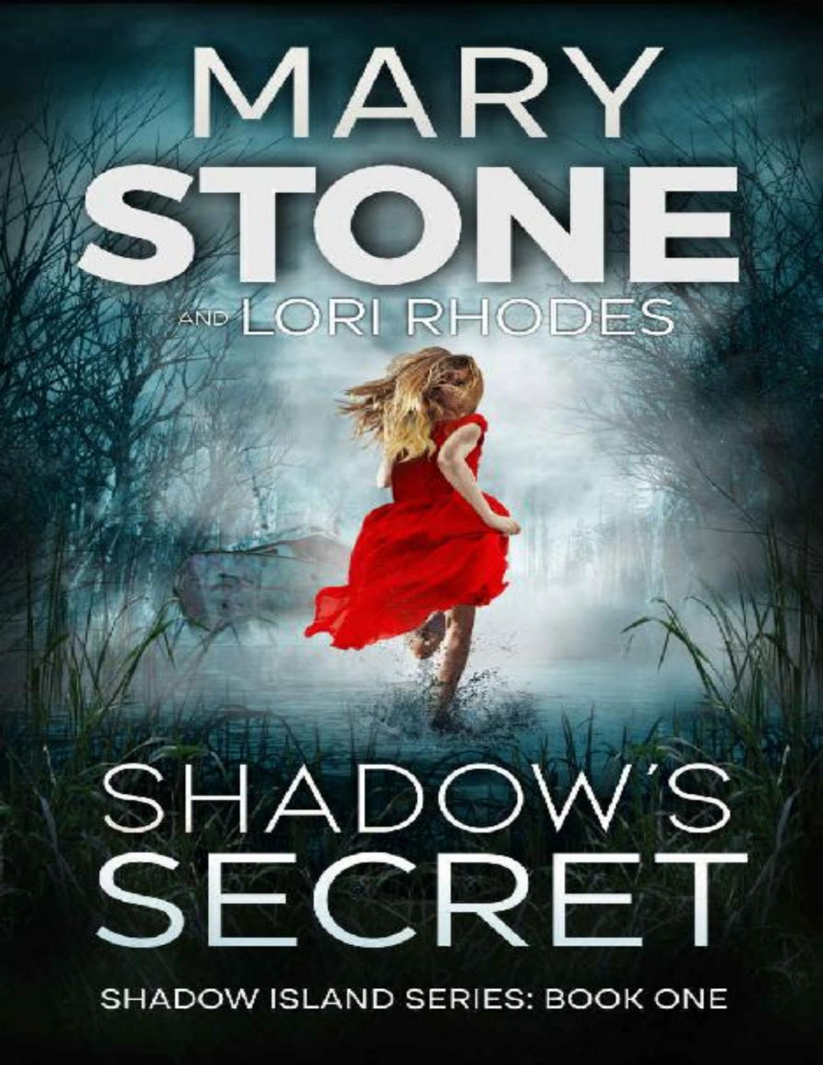 Shadow Island Fbi Mystery 01 Shadows Secret Mary Stone