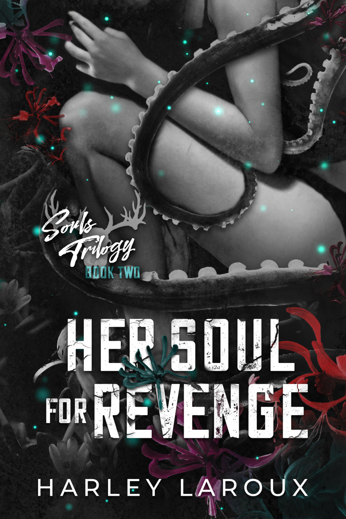 Souls Book 2 Her Soul For Revenge Harley Laroux