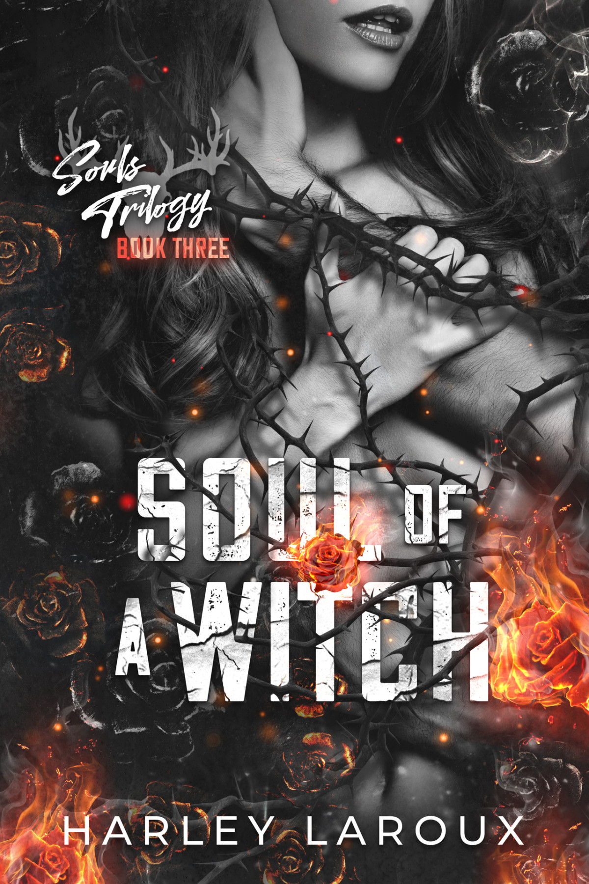 Souls Book 3 Soul Of A Witch 1st Edition Harley Laroux