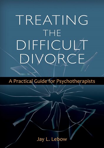 Treating The Difficult Divorce A Practical Guide For Psychotherapists Jay Lebow