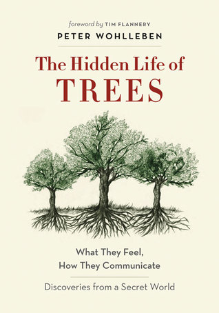 The Hidden Life Of Trees What They Feel How They Communicate Discoveries From A Secret World Illustrated Edition Peter Wohlleben