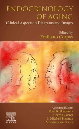 Endocrinology Of Aging 1st Emiliano Corpas Marc R Blackman S Mitchell Harman Antonio Ruiztorres