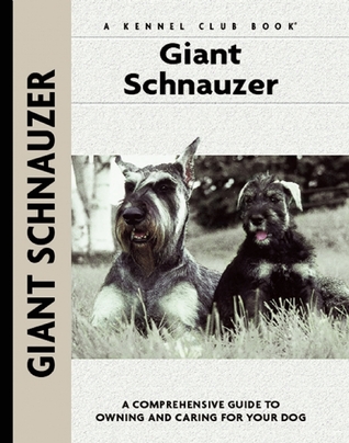 Giant Schnauzer Andrews Barbara Jfrancais Isabellephotographs