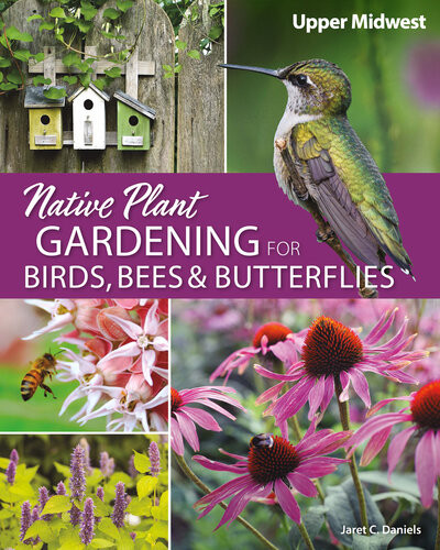 Native Plant Gardening For Birds Bees And Butterflies Upper Midwest Jaret C Daniels