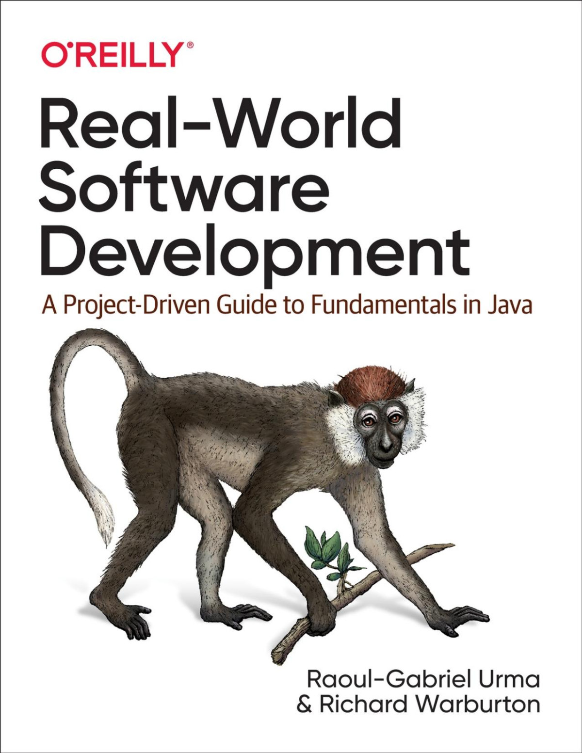 Realworld Software Development A Projectdriven Guide To Fundamentals In Java 1st Edition Raoulgabriel Urma Richard Warburton