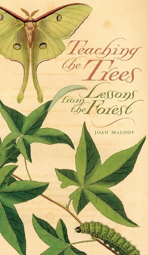 Teaching The Trees Lessons From The Forest Joan Maloof