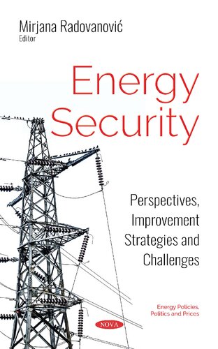 Energy Security Perspectives Improvement Strategies And Challenges Mirjana Radovanovic