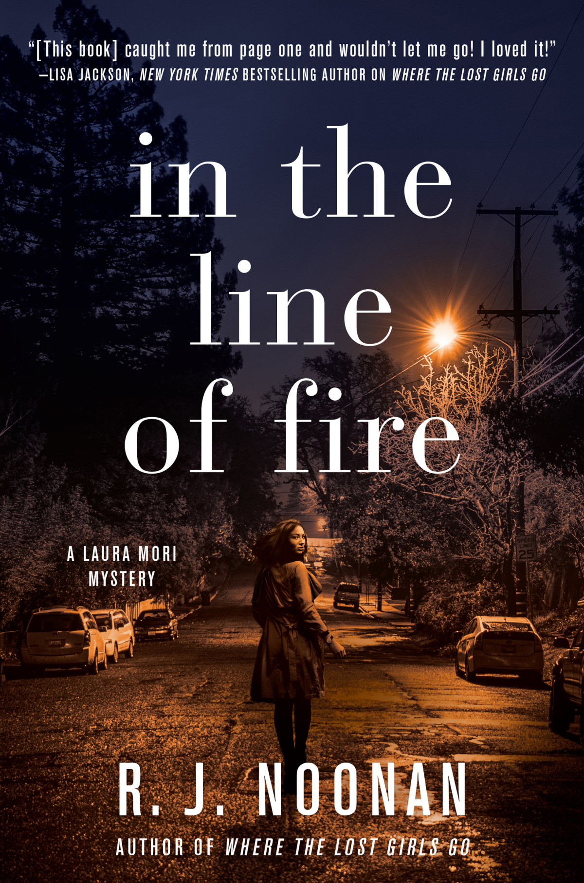 In The Line Of Fire 1st Edition R J Noonan