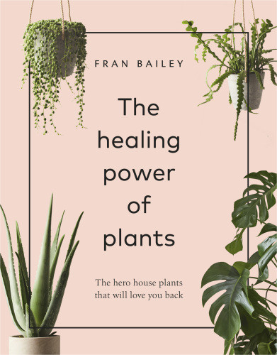The Healing Power Of Plants The Hero House Plants That Love You Back Bailey