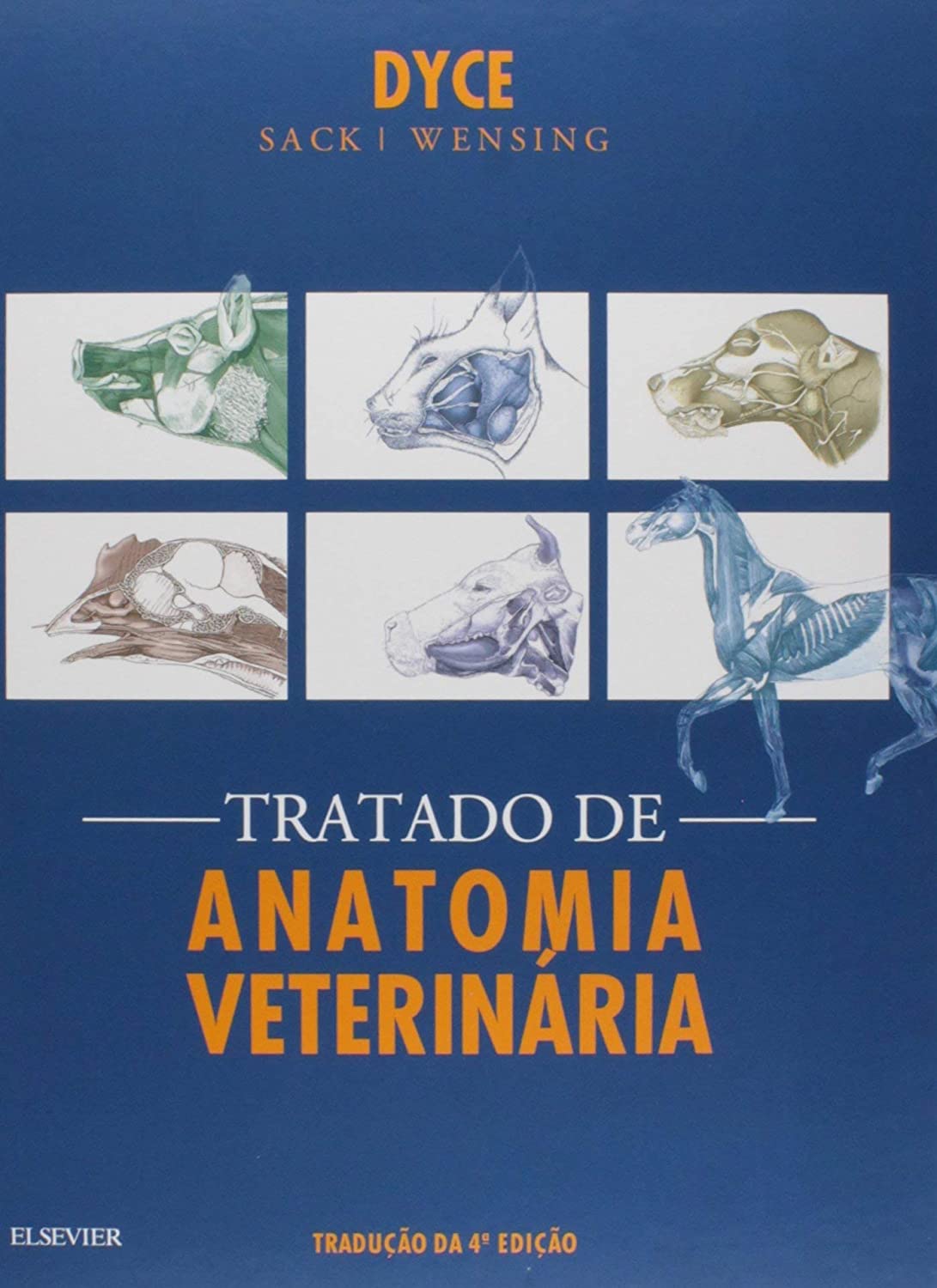 Tratado De Anatomia Veterinria Keith M Dyce Wolfgang O Sack Cornelis Johannes Gerardus Wensing