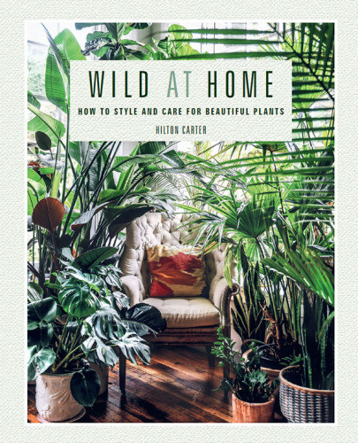 Wild At Home How To Style And Care For Beautiful Plants Carter