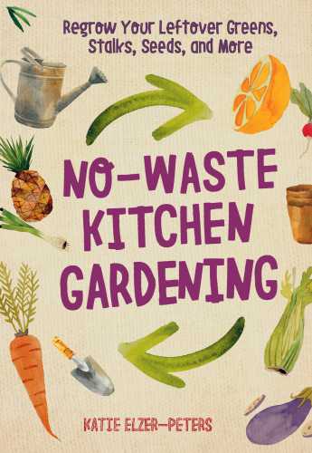 Nowaste Kitchen Gardening Regrow Your Leftover Greens Pits Seeds And More Elzerpeters