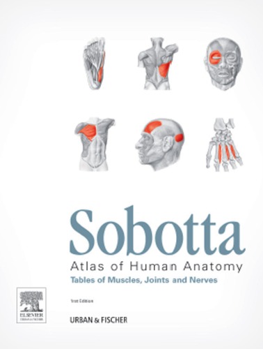 Sobotta Atlas Of Human Anatomy Tables Of Muscles Joints And Nerves 1st Ed Waschke