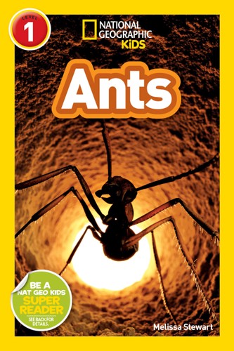 National Geographic Kids Ants Illustrated Melissa Stewart