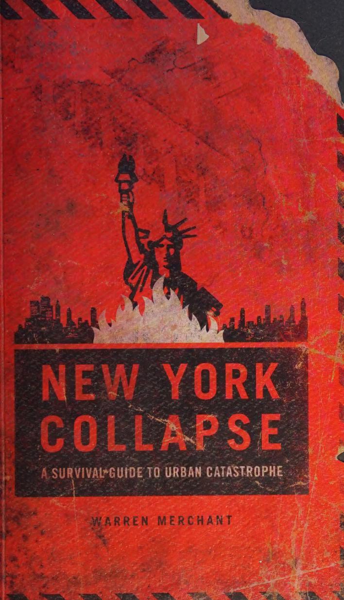 Tom Clancys The Division New York Collapse A Survival Guide To Urban Disaster Warren Merchant