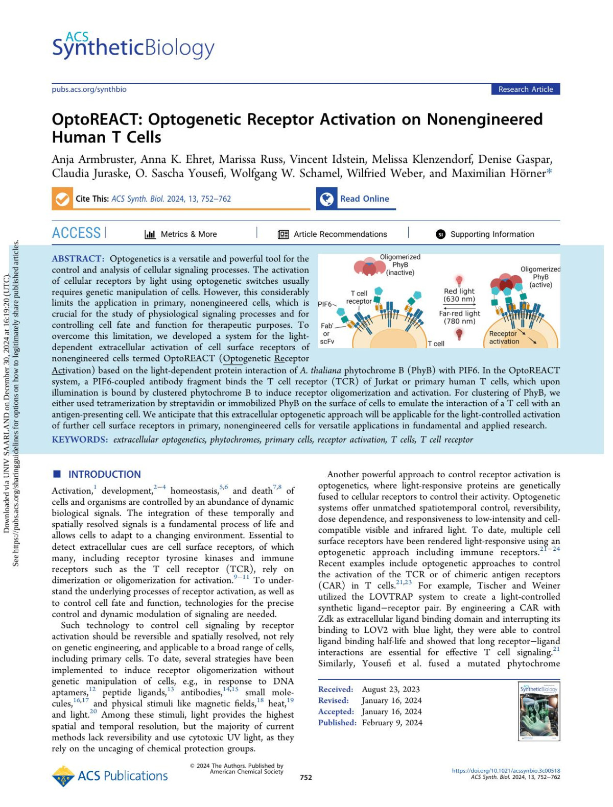 Optoreact Optogenetic Receptor Activation On Nonengineered Human T Cells Anja Armbruster