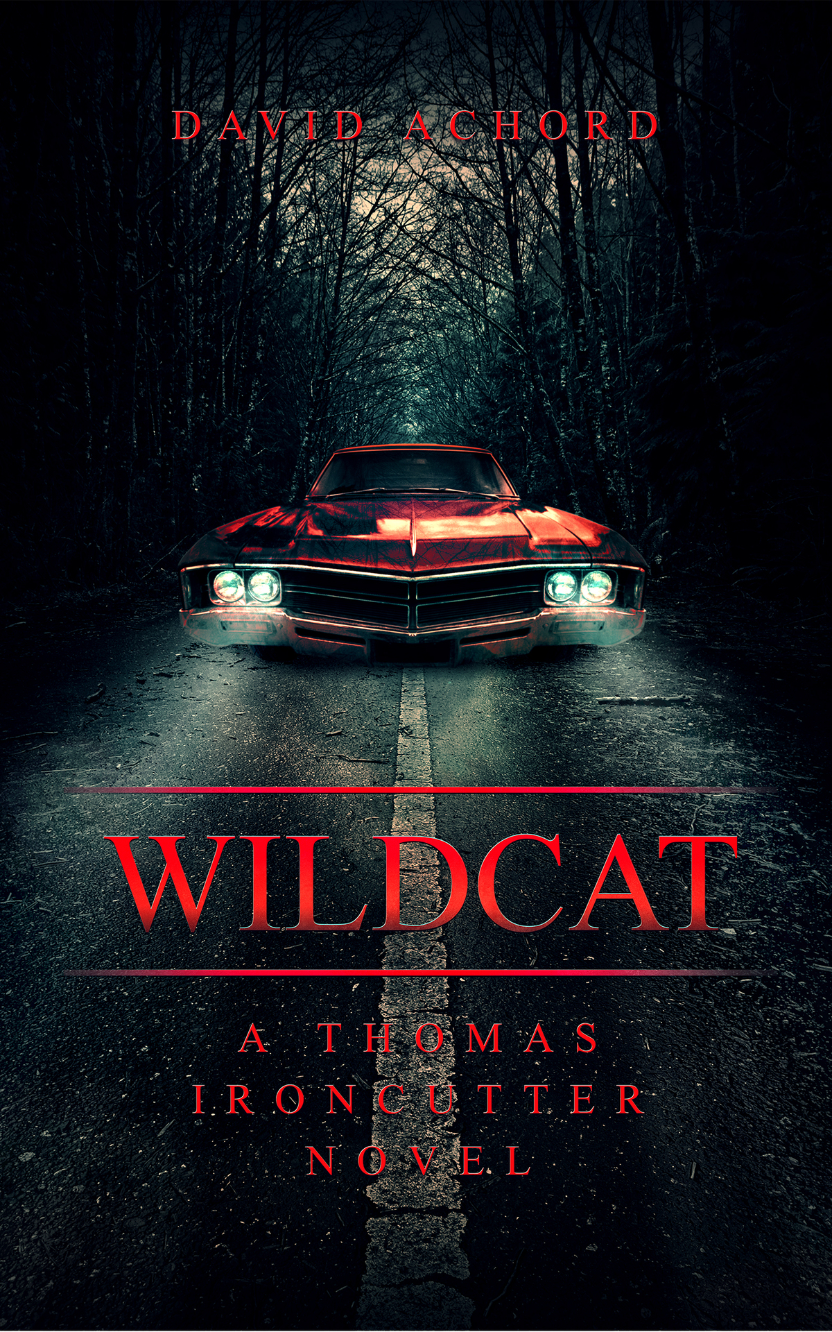 Wildcat A Thomas Ironcutter Novel Achord David