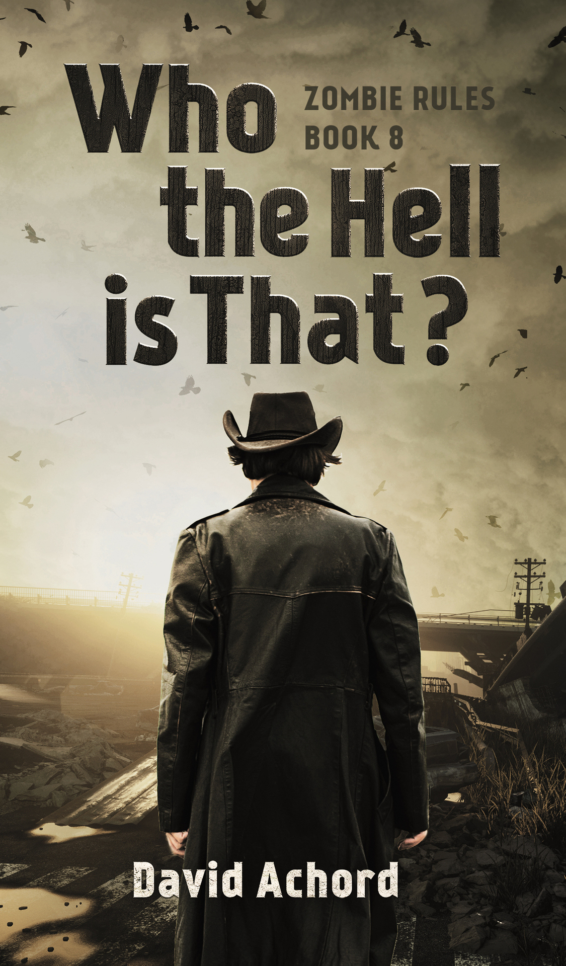 Who The Hell Is That Zombie Rules Book 8 Achord David