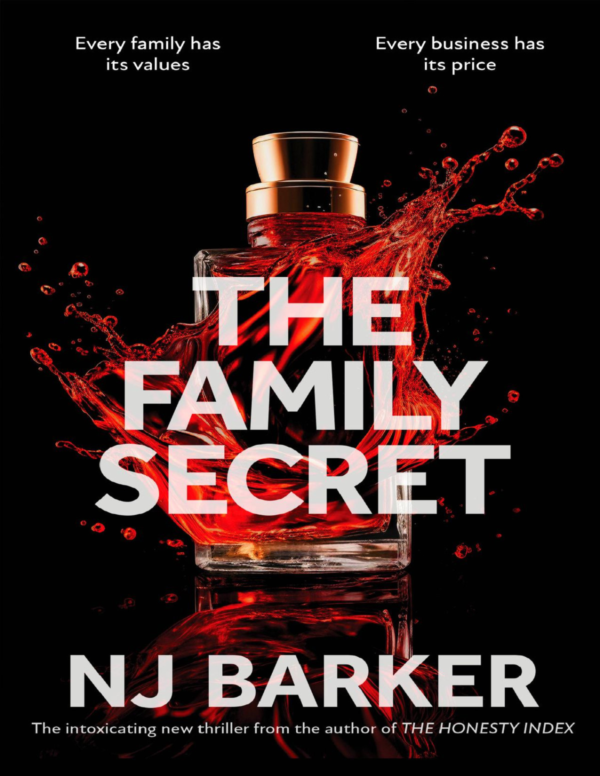 The Family Secret N J Barker