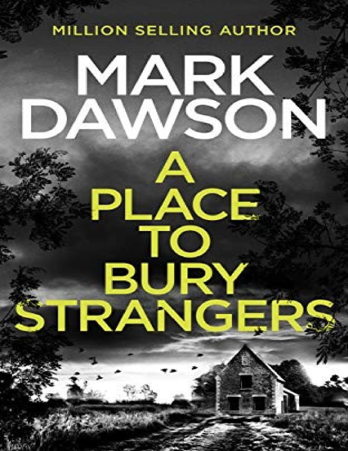 A Place To Bury Strangers Mark Dawson