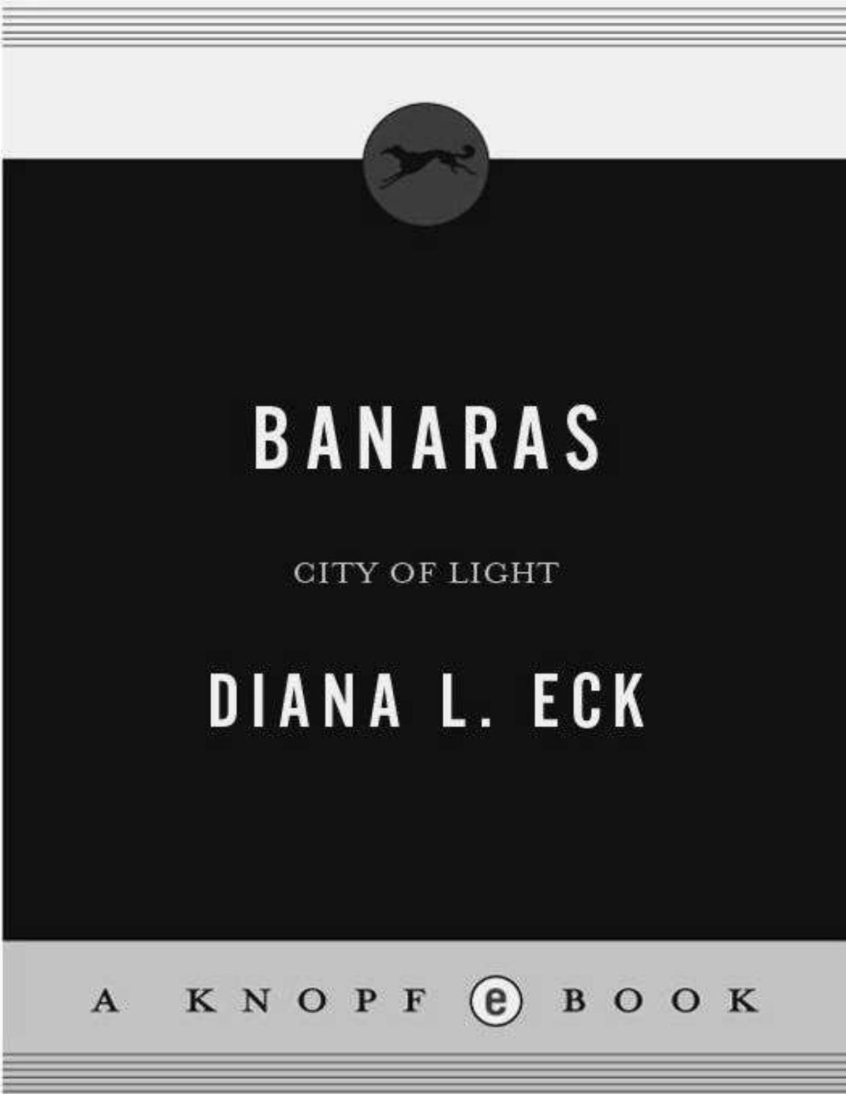 Banaras City Of Light Eck Diana L