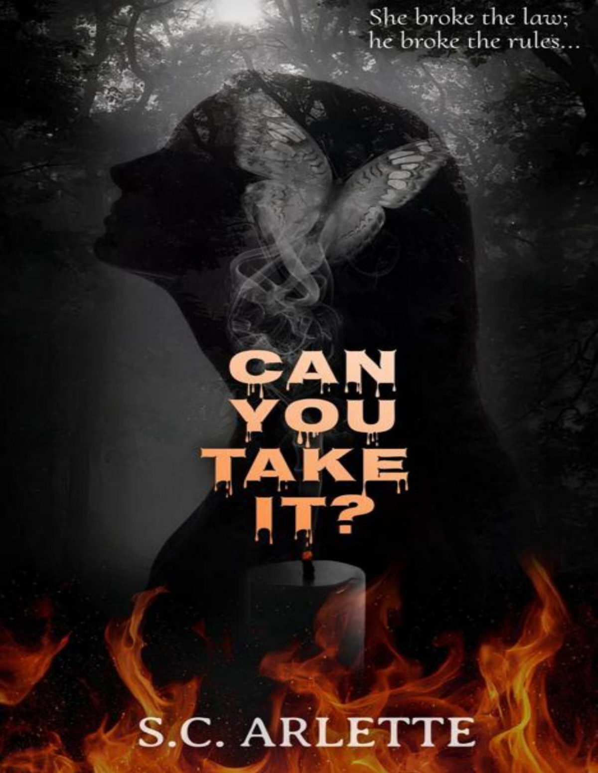 Can You Take It A Dark Enemiestolovers Romance Sc Arlette