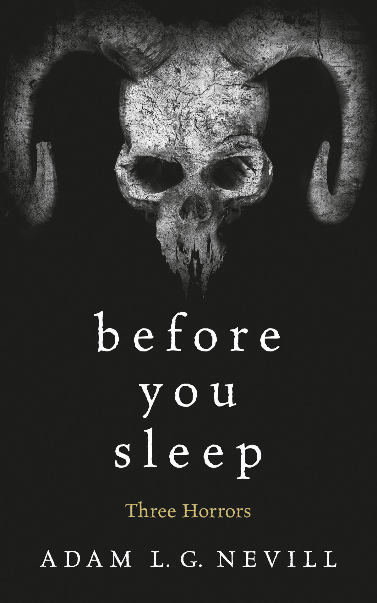 Before You Sleep Adam Nevill