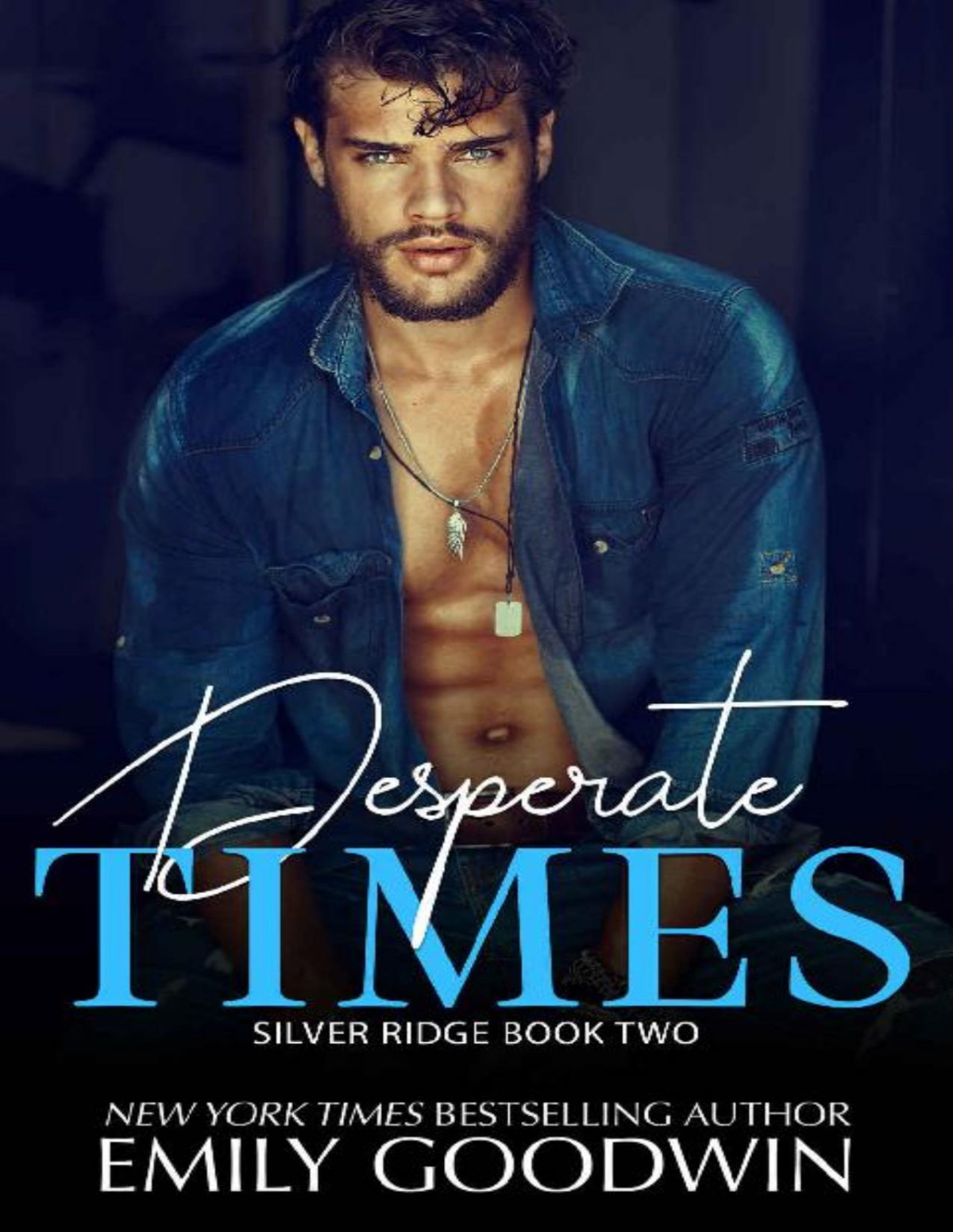 Desperate Times Silver Ridge Series Book 2 Emily Goodwin