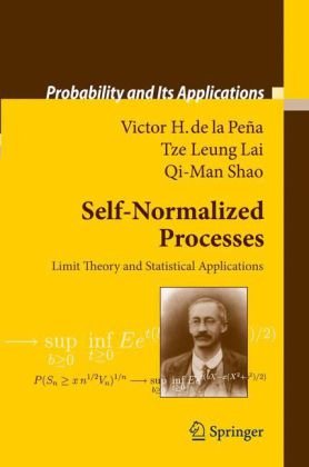 Selfnormalized Processes Limit Theory And Statistical Applications Probability And Its Applications 1st Edition Victor H De La Pea