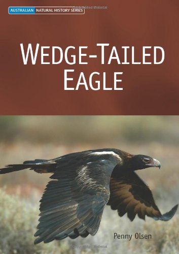 Wedgetailed Eagle Australian Natural History Series 1st Edition Penny Olsen
