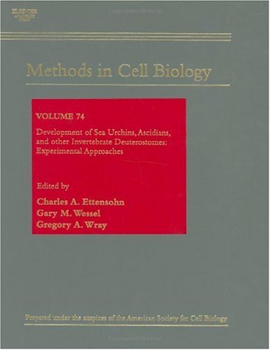 Development Of Sea Urchins Ascidians And Other Invertebrate Deuterostomes Experimental Approaches 1st Edition Charles A Ettensohn