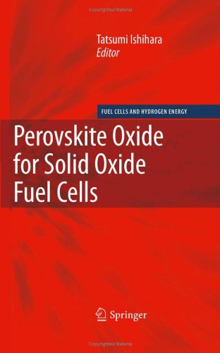 Perovskite Oxide For Solid Oxide Fuel Cells 1st Edition Tatsumi Ishihara Auth