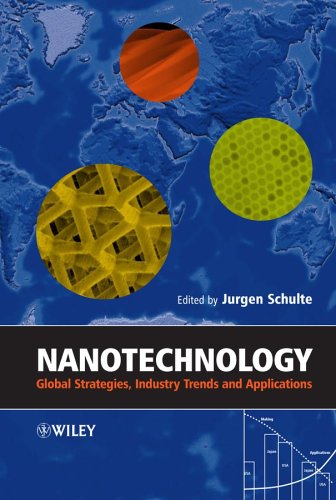Nanotechnology Global Strategies Industry Trends And Applications 1st Edition Jurgen Schulte
