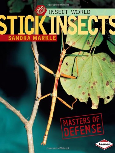 Stick Insects Masters Of Defense Insect World Sandra Markle