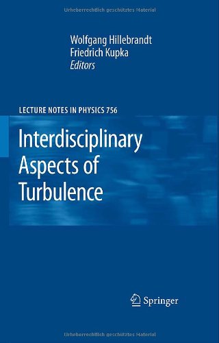 Interdisciplinary Aspects Of Turbulence 1st Edition W Hillebrandt