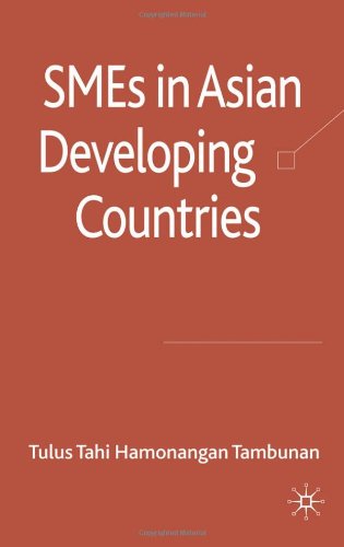 Smes In Asian Developing Countries Tulus Tambunan